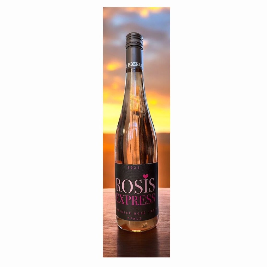 ROSIS Express