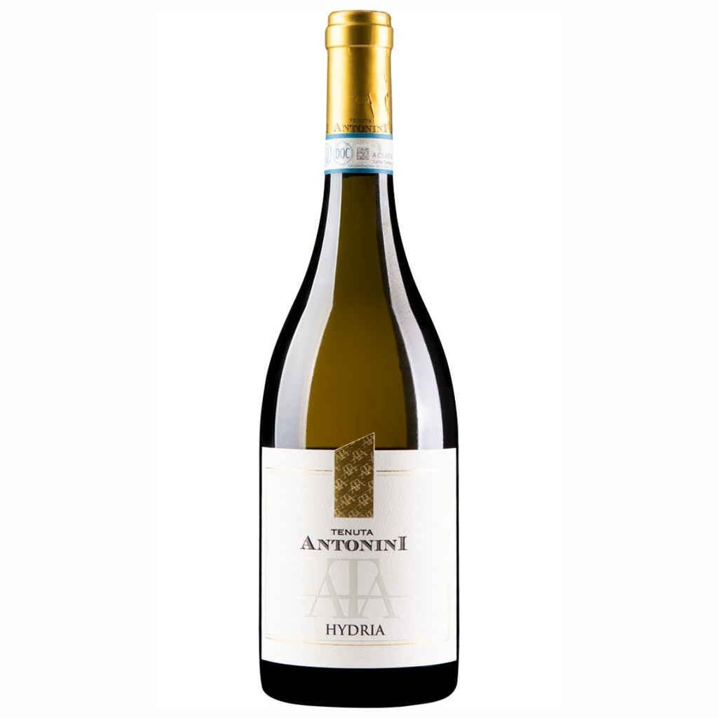 [P0001193] Tenuta Antonini Hydria Pecorino d'Abruzzo DOC